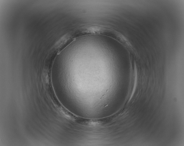 X0000079580313200612011225