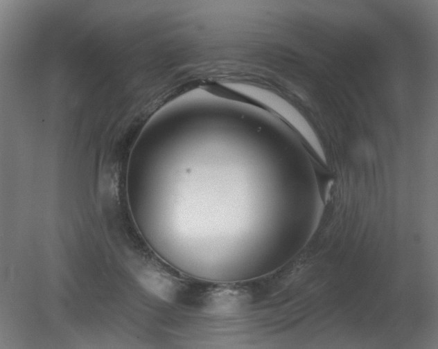 X0000079580315200612011225