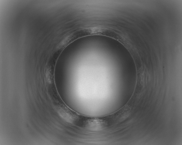 X0000079580316200612011225