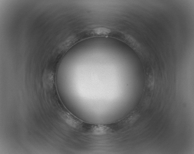 X0000079580321200612011225