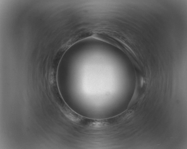X0000079580323200612011224