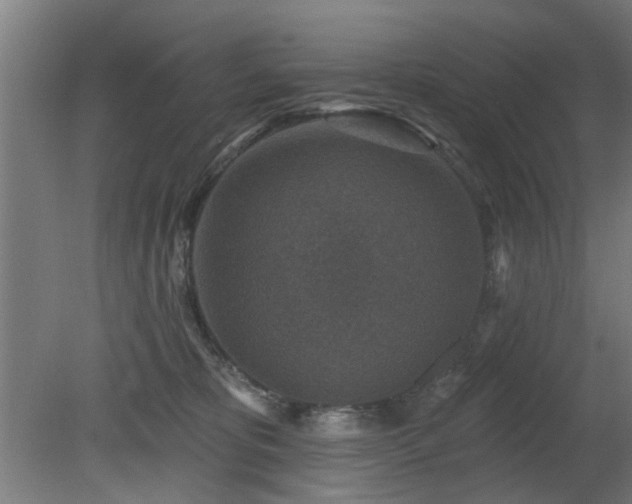 X0000079580325200612011224