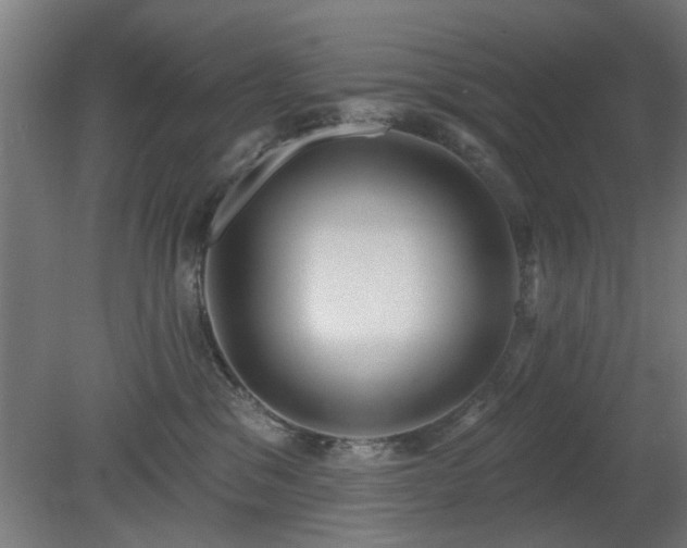 X0000079580329200612011224