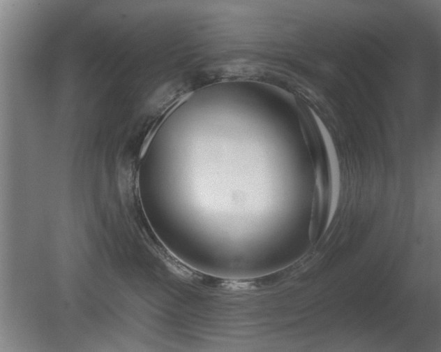 X0000079580333200612011224