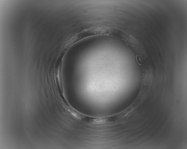 X0000079580335200612011224
