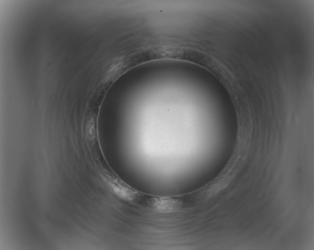 X0000079580336200612011224