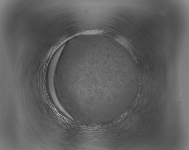 X0000079580337200612011223