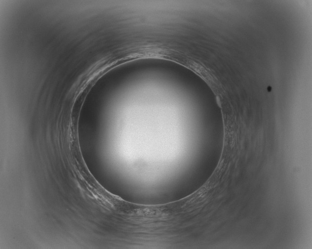 X0000079580338200612011223