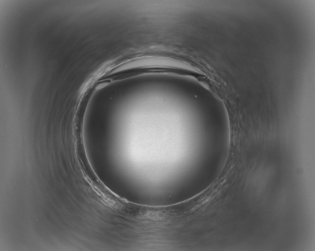 X0000079580341200612011224
