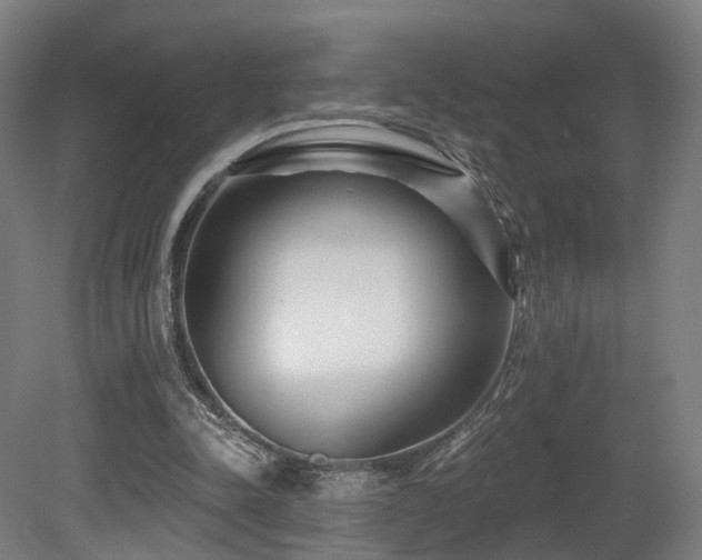 X0000079580342200612011224