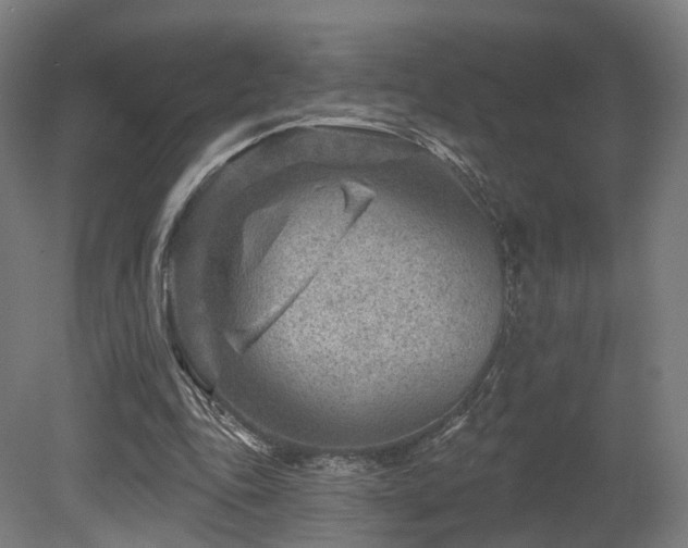 X0000079580343200612011224
