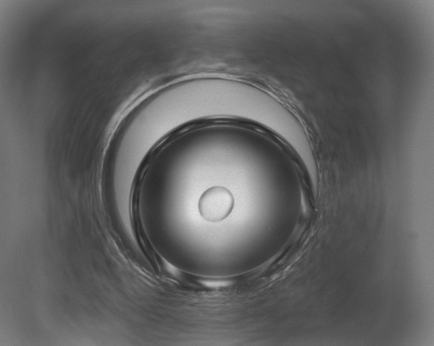 X0000079580344200612011224