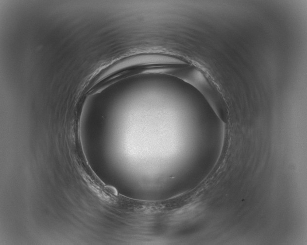 X0000079580345200612011224