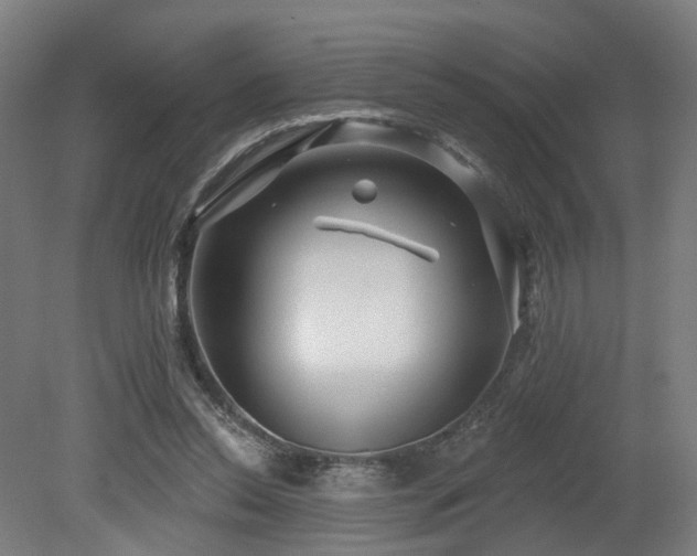 X0000079580350200612011224