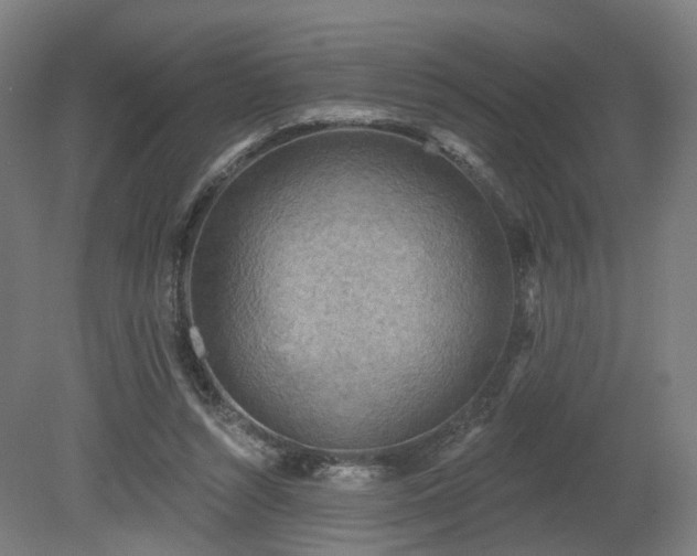 X0000079580352200612011224
