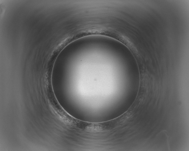 X0000079580354200612011224