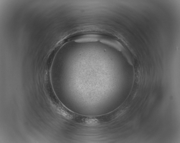 X0000079580355200612011224