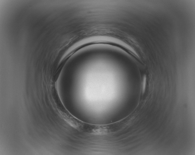 X0000079580362200612011224