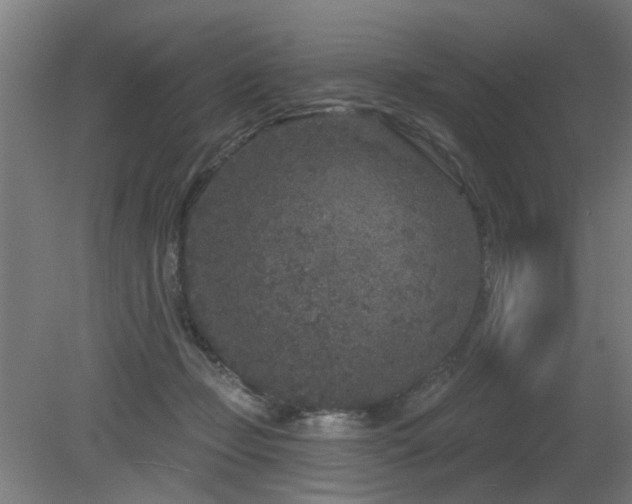 X0000079580365200612011224