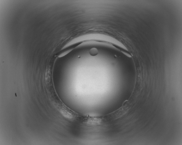 X0000079580369200612011224