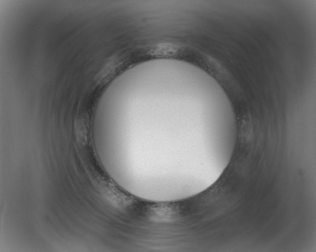 X0000079580370200612011224