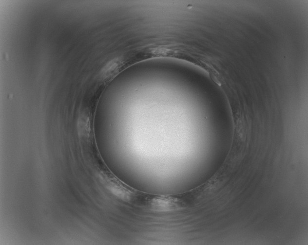 X0000079580375200612011224