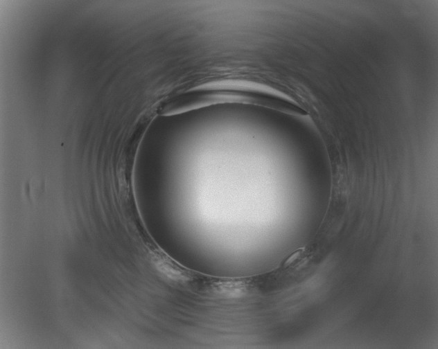 X0000079580377200612011224
