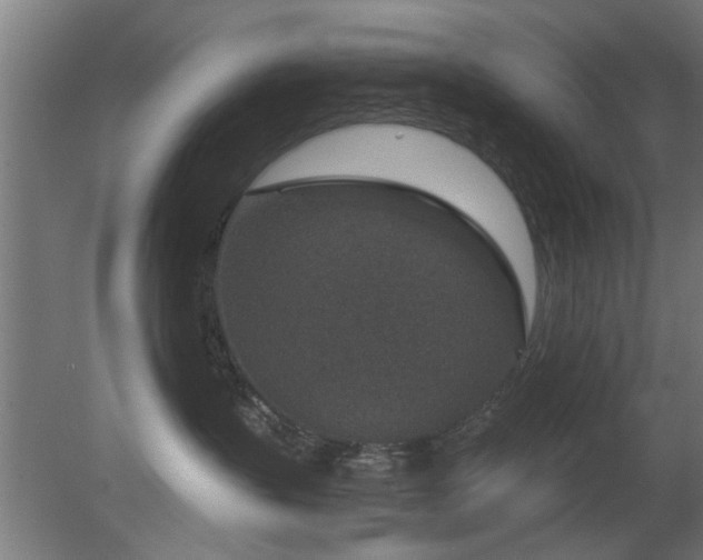 X0000079580383200612011224