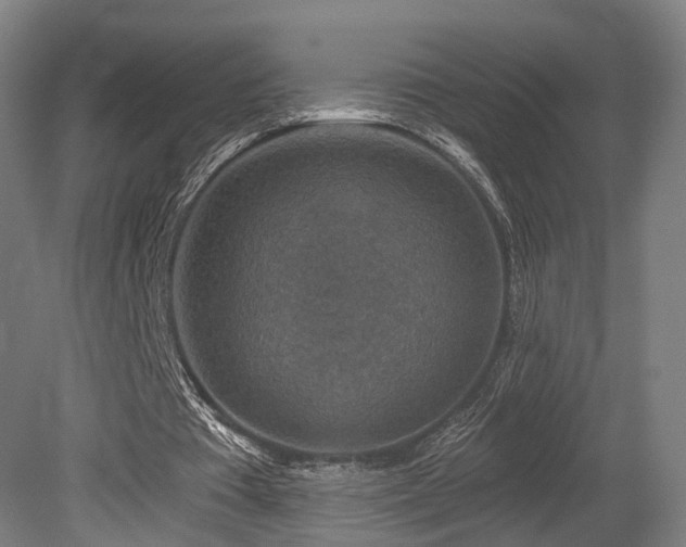 X0000079580385200612011223