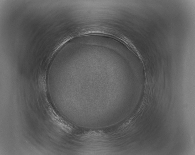 X0000079580386200612011223