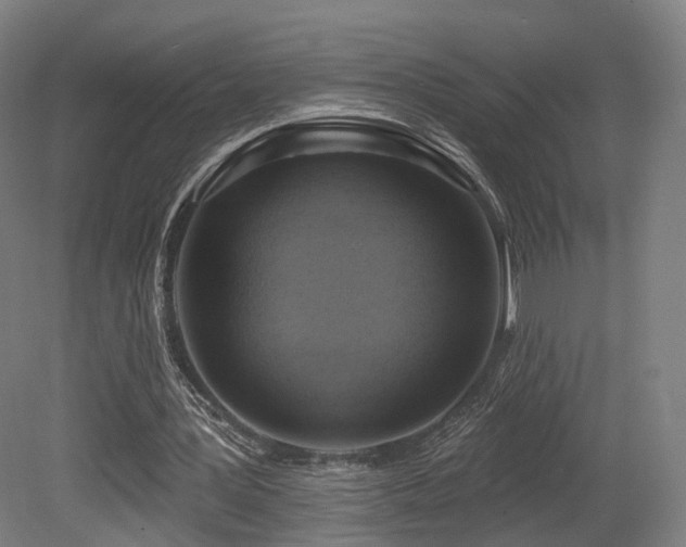 X0000079580387200612011223