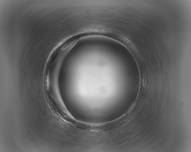 X0000079580388200612011223