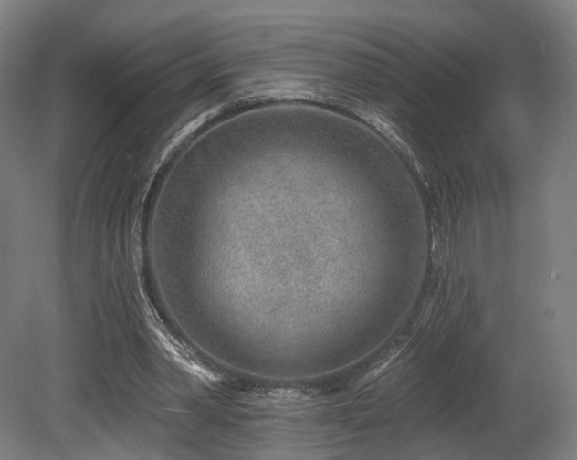 X0000079580390200612011223