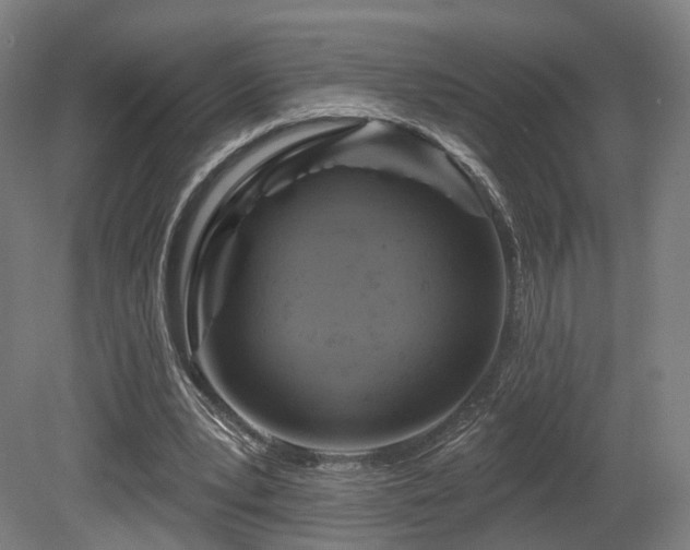X0000079580391200612011223
