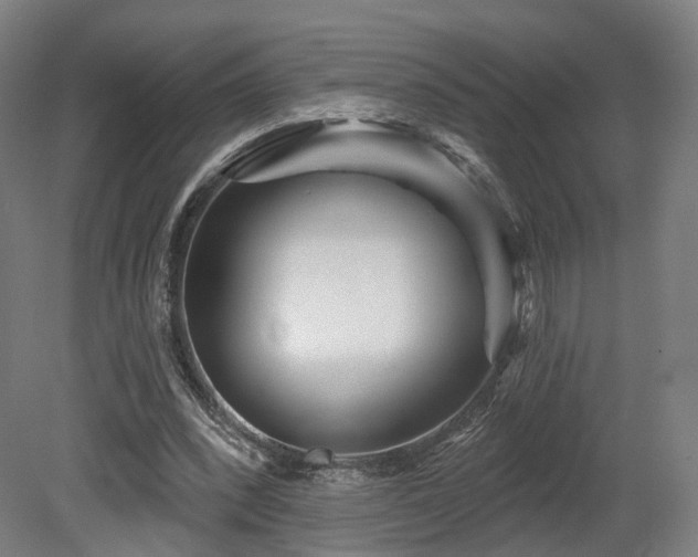 X0000079580392200612011223