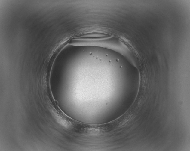 X0000079580394200612011223