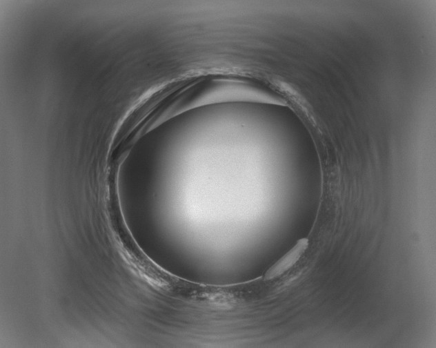X0000079580395200612011223