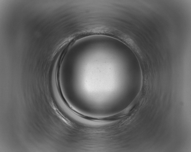 X0000079580397200612011223