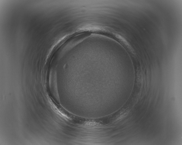 X0000079580399200612011223