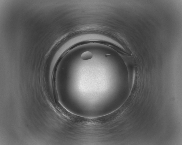 X0000079580400200612011223