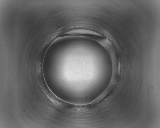 X0000079580401200612011223