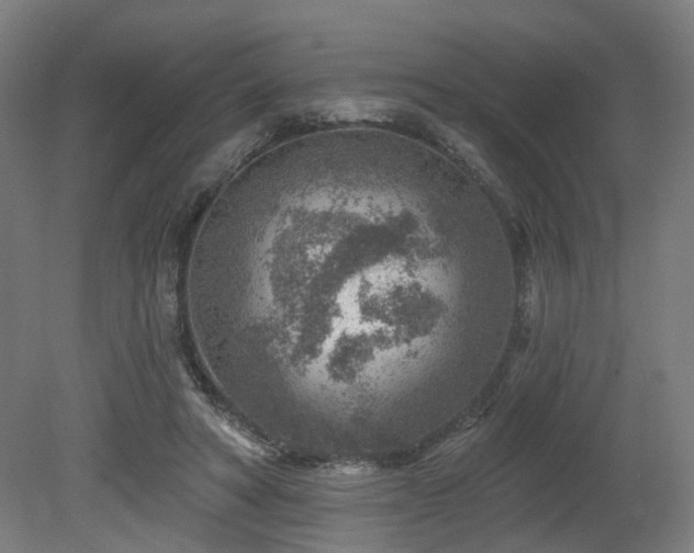 X0000079580402200612011223