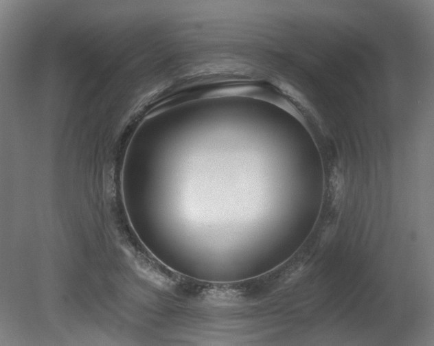 X0000079580403200612011223