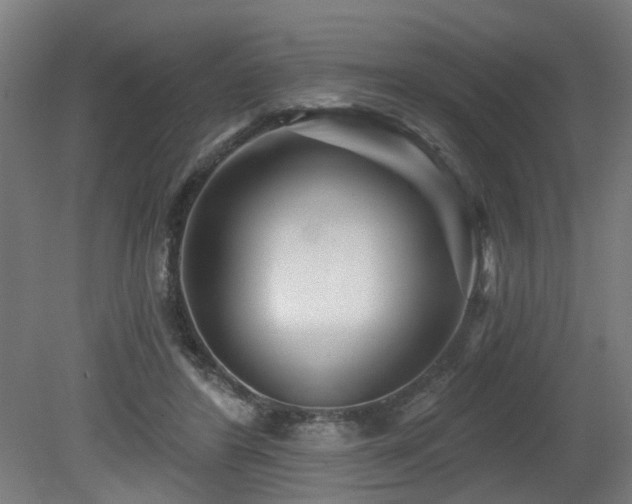 X0000079580404200612011223