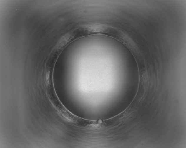 X0000079580406200612011223