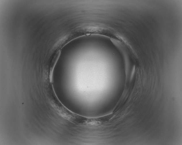 X0000079580407200612011223