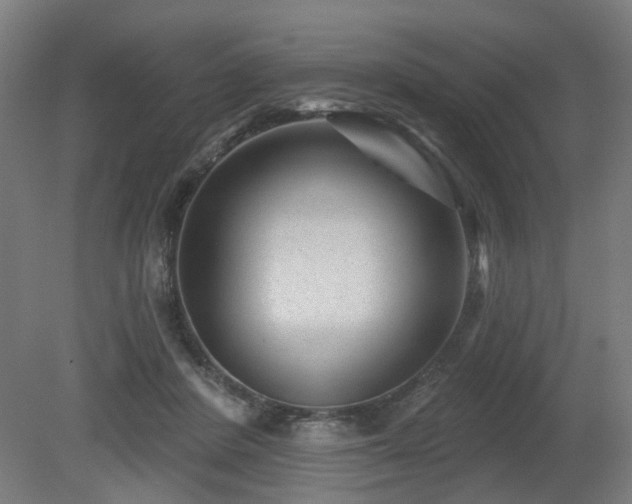 X0000079580408200612011223