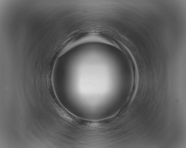 X0000079580409200612011223