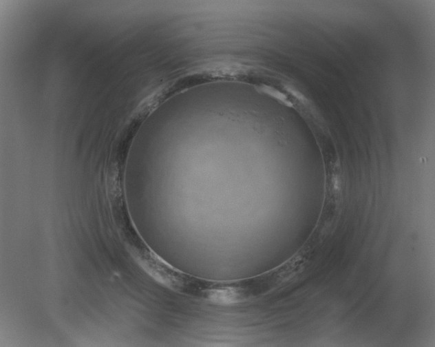 X0000079580411200612011223