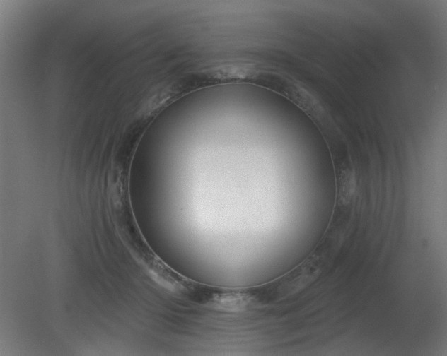 X0000079580414200612011223